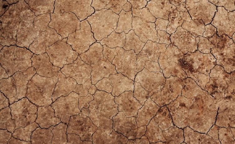 “Para el agro crítico, para el turismo 10 puntos”: el pronóstico de Serra para fin de mes