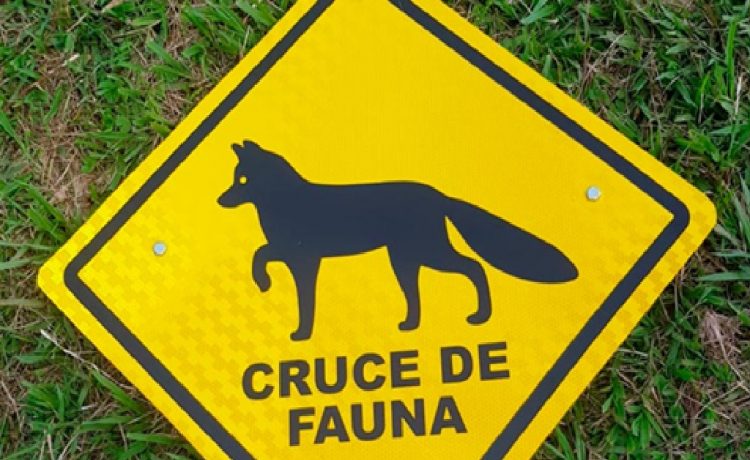 Registro de atropellamiento de fauna: un paso clave para la conservación en áreas naturales protegidas