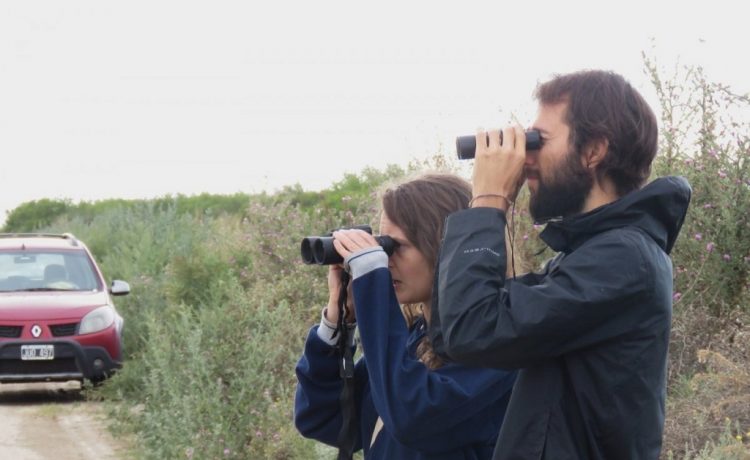 El próximo domingo se realizará una observación de aves en Las Piedras