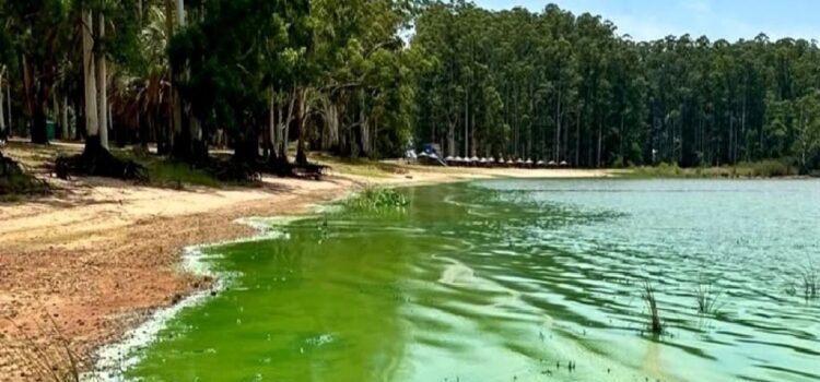 Sin respuestas: el gobierno de Entre Ríos no informa sobre el lago contaminado