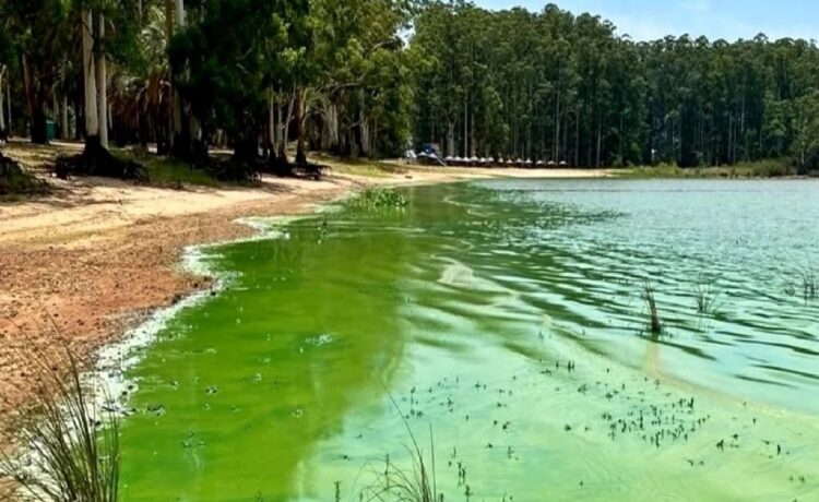 Sin respuestas: el gobierno de Entre Ríos no informa sobre el lago contaminado