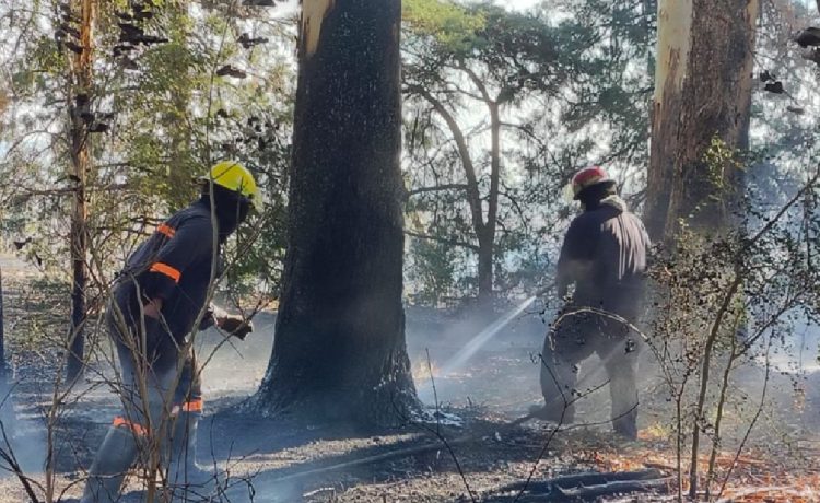 El Gobierno de Gualeguaychú intensifica las medidas de prevención y control de incendios