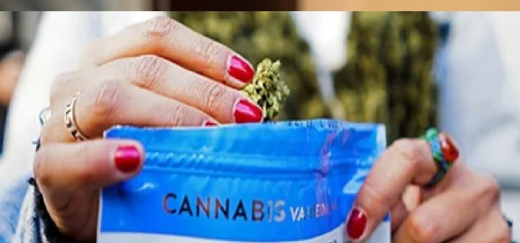 ¿Cómo quedaron los precios del cannabis en las farmacias tras el último aumento?