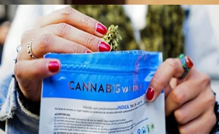 ¿Cómo quedaron los precios del cannabis en las farmacias tras el último aumento?