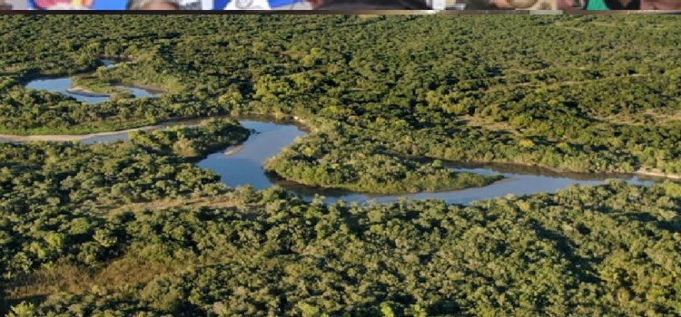 Reserva Natural Las Piedras: un destino para reconectar con la naturaleza en Gualeguaychú