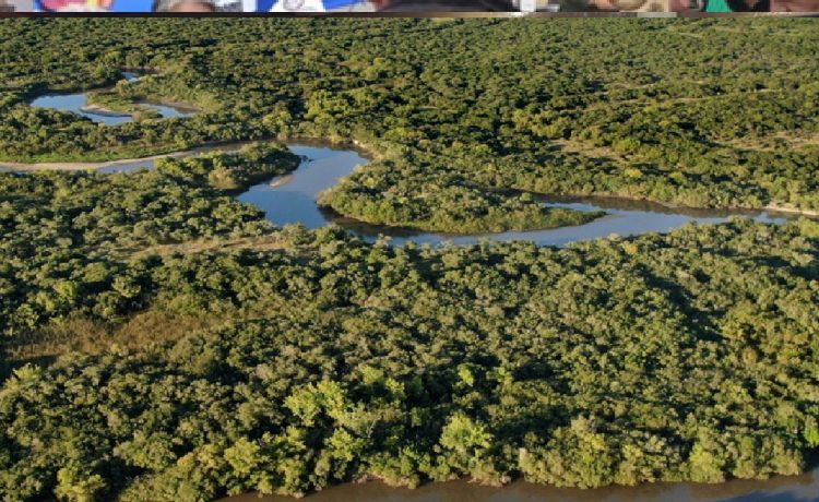 Reserva Natural Las Piedras: un destino para reconectar con la naturaleza en Gualeguaychú