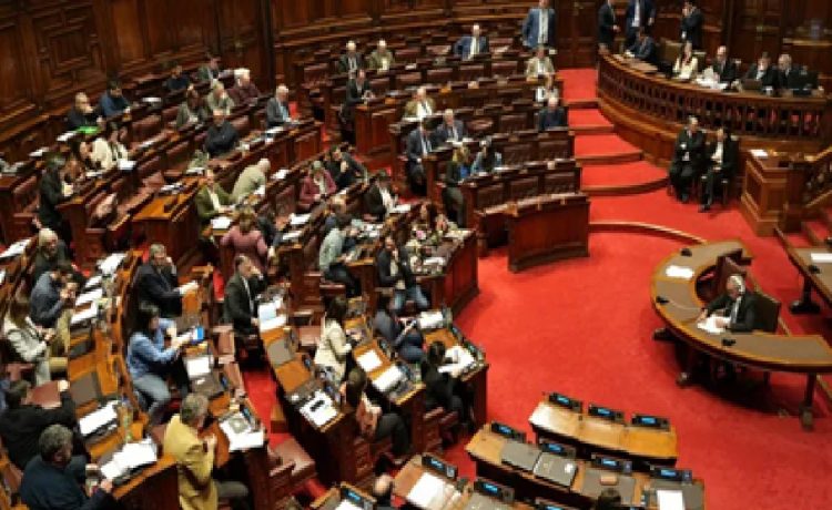 La comisión investigadora por María Dolores se estanca, mientras que la de Cardama tiene luz verde