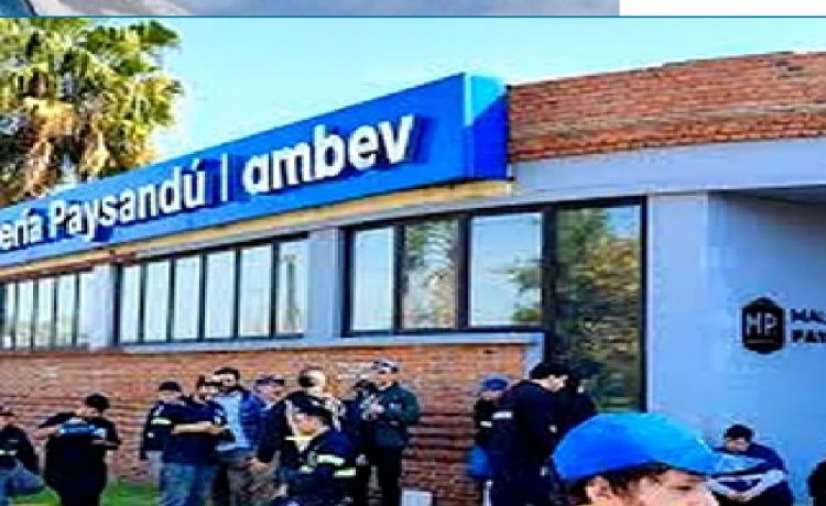 Incertidumbre en Ambev: sindicato advierte por parada de planta desde el 1º de marzo