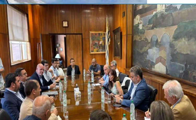 Preocupación en Paysandú por el futuro de la cementera de ANCAP: buscan preservar el empleo