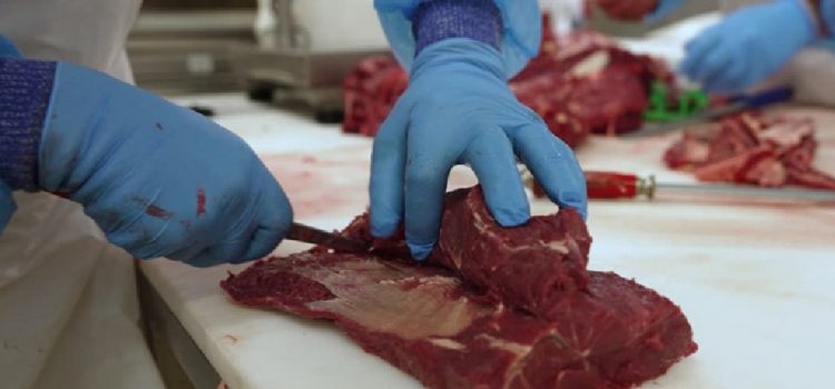 Gualeguaychú refuerza el control sanitario sobre comercializacón de carnes