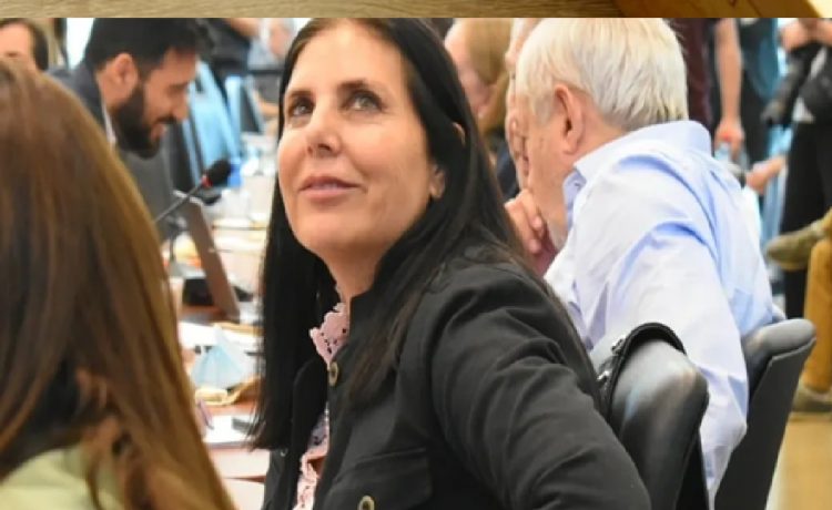 Juicio político: Lena propone nueva reglamentación tras el frustrado proceso contra Susana Medina