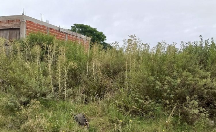 Inspección General intensifica controles sobre terrenos baldíos en distintos barrios