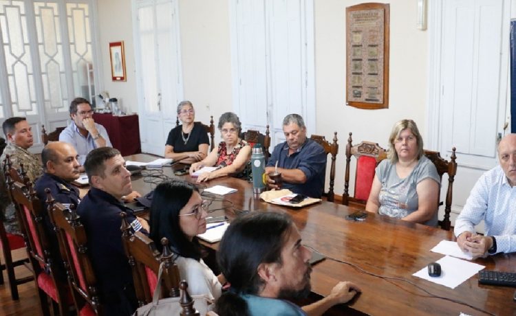 Uruguay: Detectan picudo rojo en Young y activan medidas de vigilancia en el departamento