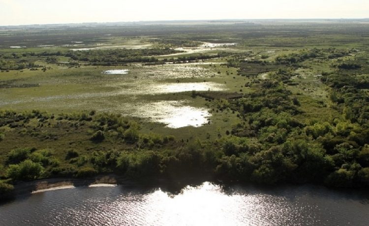 Fray Bentos será sede del IV Encuentro Trinacional de Áreas Naturales Protegidas