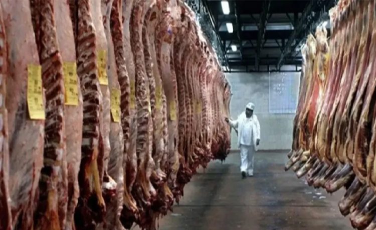 El consumo de carne es el más bajo de los últimos 20 años y el derrumbe de la faena supera los dos dígitos