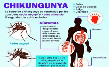Vigilancia activa en la provincia, ante el aumento de casos de Chikungunya