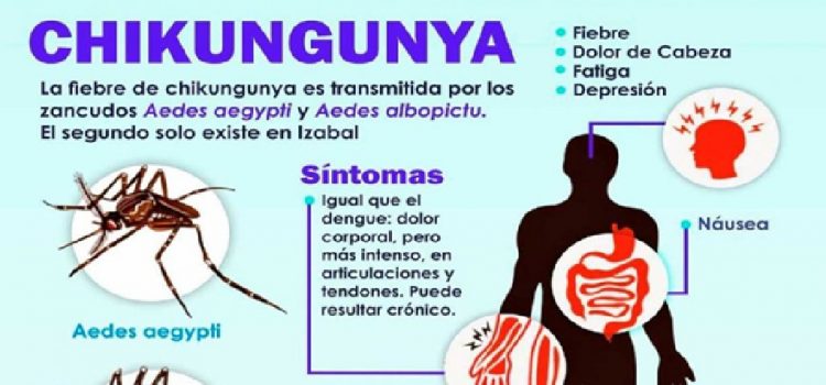 Vigilancia activa en la provincia, ante el aumento de casos de Chikungunya