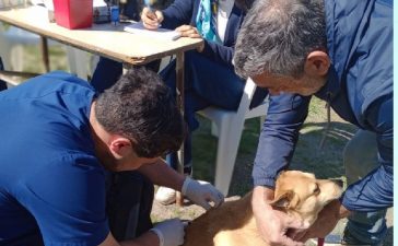 Este sábado habrá vacunación antirrábica en la cancha de la Enova