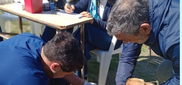 Este sábado habrá vacunación antirrábica en la cancha de la Enova