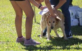 Este jueves se realizará una jornada de vacunación antirrábica gratuita en Plaza Urquiza