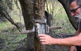 “Las Piedras” incorporó cámaras trampa para estudiar y proteger su fauna silvestre