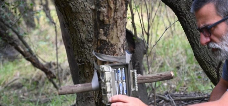“Las Piedras” incorporó cámaras trampa para estudiar y proteger su fauna silvestre