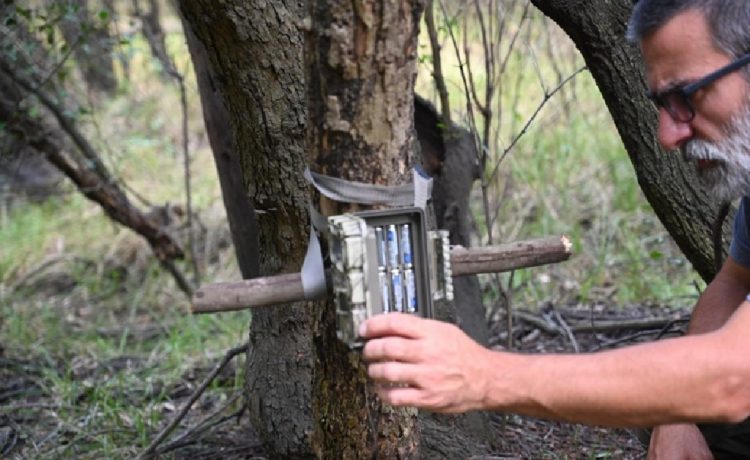 “Las Piedras” incorporó cámaras trampa para estudiar y proteger su fauna silvestre