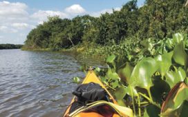 Decretaron ampliación del Parque Nacional Esteros de Farrapos e Islas del Río Uruguay