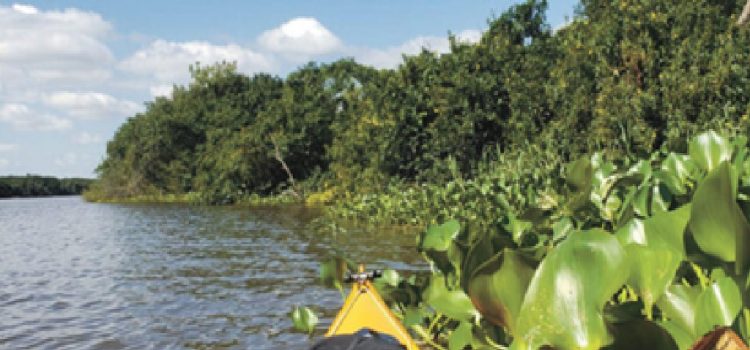 Decretaron ampliación del Parque Nacional Esteros de Farrapos e Islas del Río Uruguay
