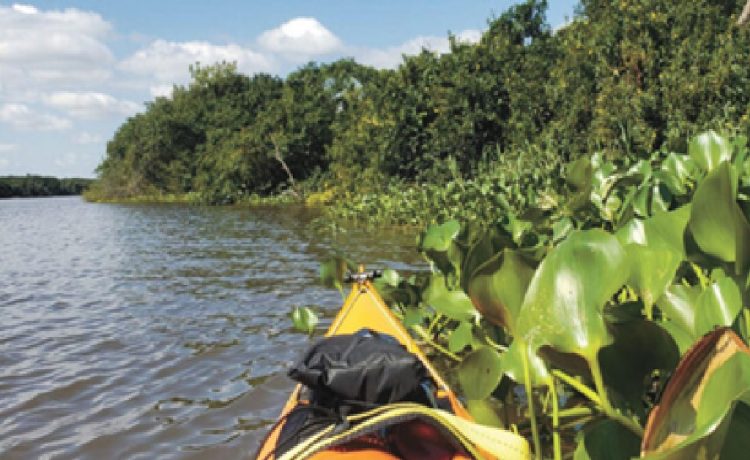 Decretaron ampliación del Parque Nacional Esteros de Farrapos e Islas del Río Uruguay