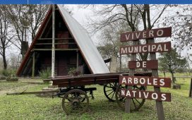 El vivero municipal ya entregó 420 árboles en 2026 y mantiene la producción todo el año