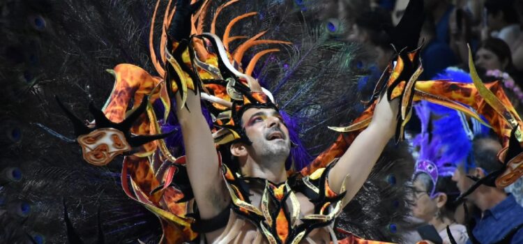 Octava Noche del Carnaval del País: Nuevamente un espectáculo Impresionante
