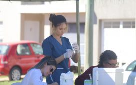 Programa de Pasantías: se abre la convocatoria a estudiantes de Veterinaria