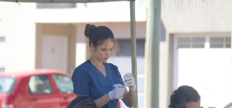 Programa de Pasantías: se abre la convocatoria a estudiantes de Veterinaria