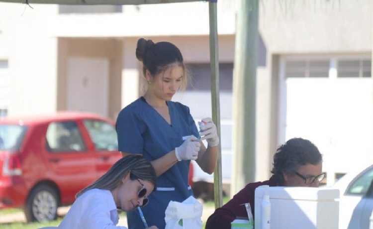 Programa de Pasantías: se abre la convocatoria a estudiantes de Veterinaria