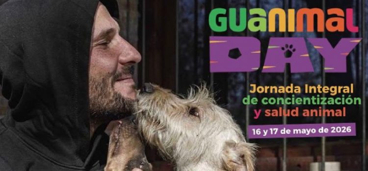 “Guanimal Day”: llega una jornada de bienestar animal con castraciones, vacunación y desfile de mascotas