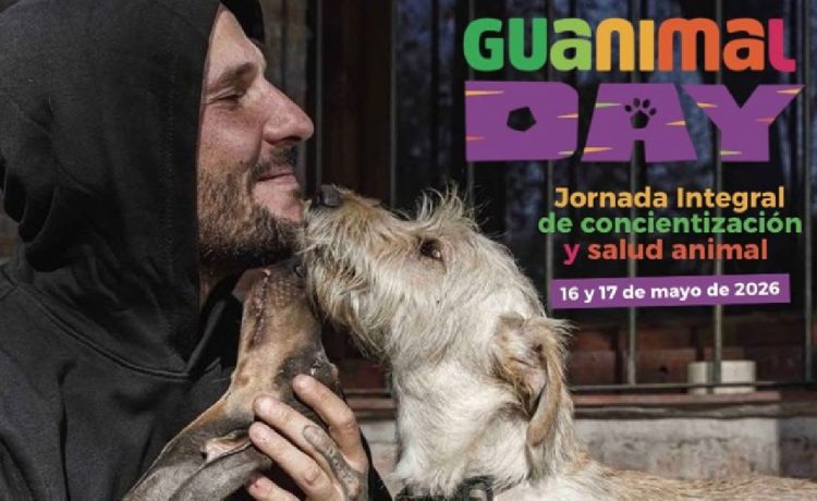 “Guanimal Day”: llega una jornada de bienestar animal con castraciones, vacunación y desfile de mascotas