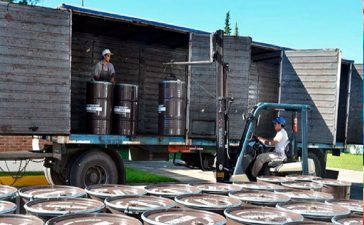 Polémica en el Mercosur: se agotó en 4 días el cupo para exportar miel con arancel cero a Unión Europea