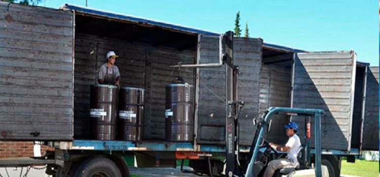 Polémica en el Mercosur: se agotó en 4 días el cupo para exportar miel con arancel cero a Unión Europea