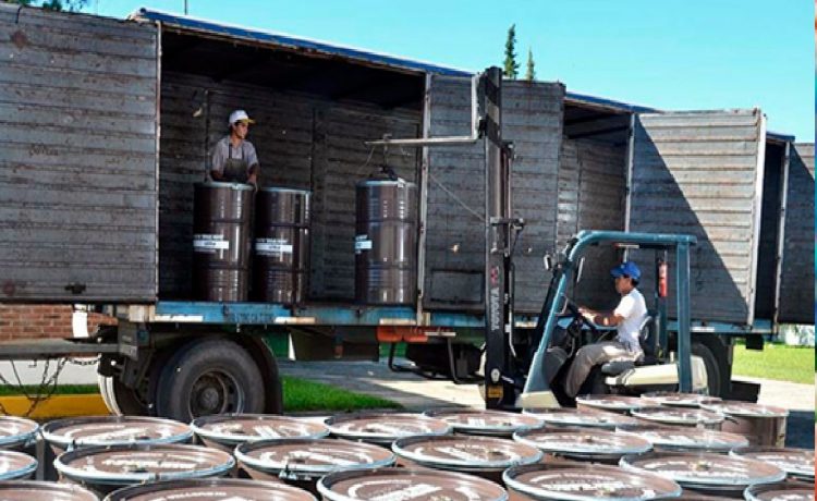 Polémica en el Mercosur: se agotó en 4 días el cupo para exportar miel con arancel cero a Unión Europea