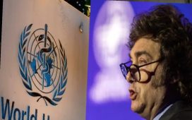 La escandalosa salida argentina de la OMS en medio del brote de hantavirus