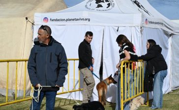 Guanimal Day: la articulación entre el Estado, la UNER y Planeta Vivo sumó más de 200 castraciones