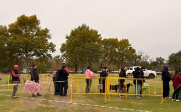 El Gobierno municipal se acerca a las 10 mil castraciones gratuitas