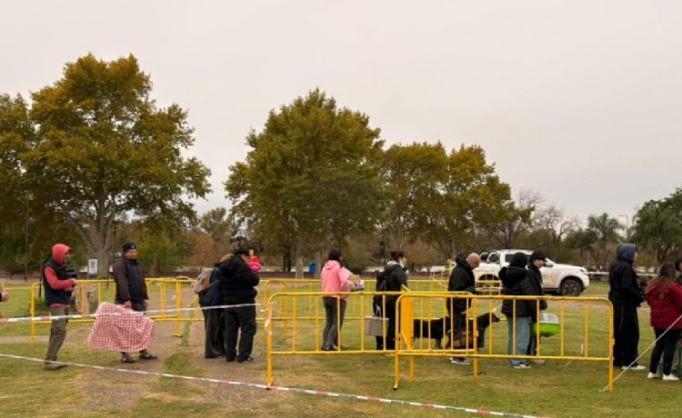 El Gobierno municipal se acerca a las 10 mil castraciones gratuitas