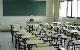 paro docente