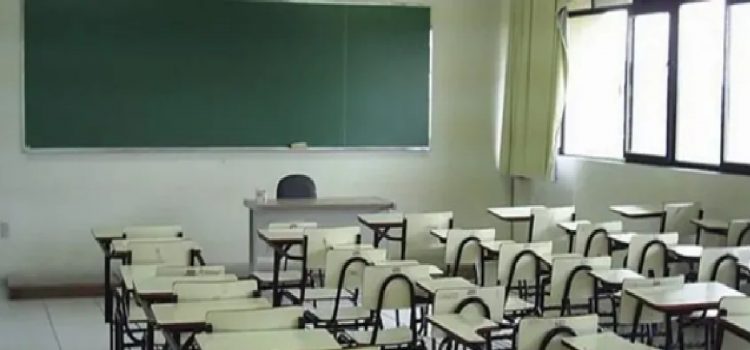 paro docente