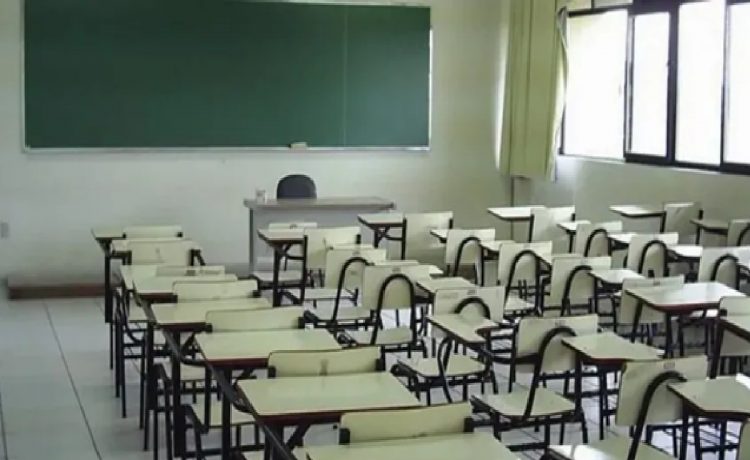 paro docente