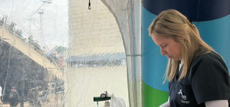 Se realizaron controles y asistencia en salud durante la Fiesta del 25 De Mayo