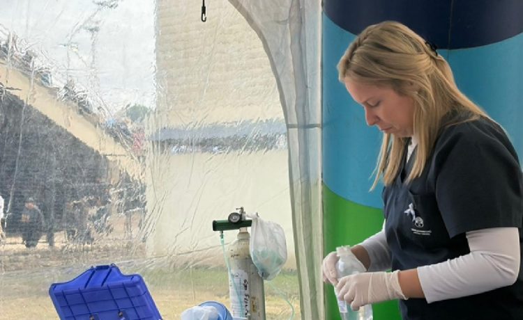 Se realizaron controles y asistencia en salud durante la Fiesta del 25 De Mayo
