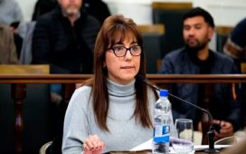 Reforma previsional. “Me dicen traidora, pero no voy a votar nada que perjudique a los trabajadores ni a los jubilados”, se defendió Domínguez
